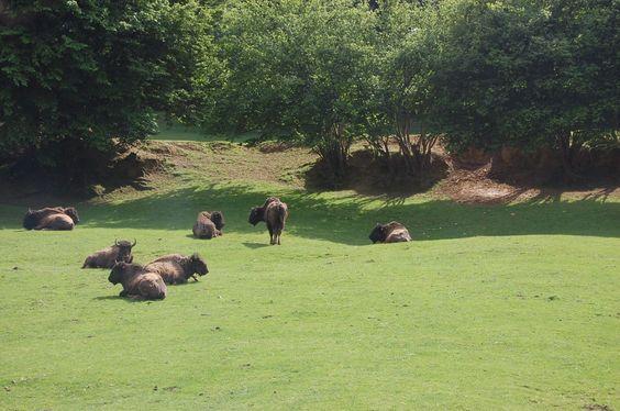 DSC_0070 [50%] [50%].JPG